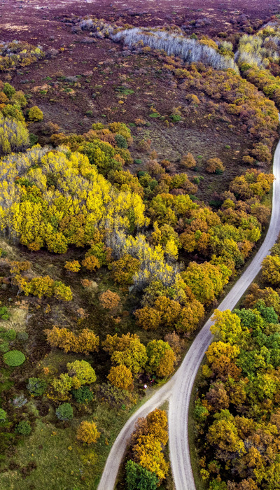 Vestforsynings Grønne Pris