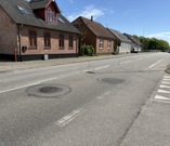 IMG 4959