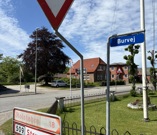 IMG 4937