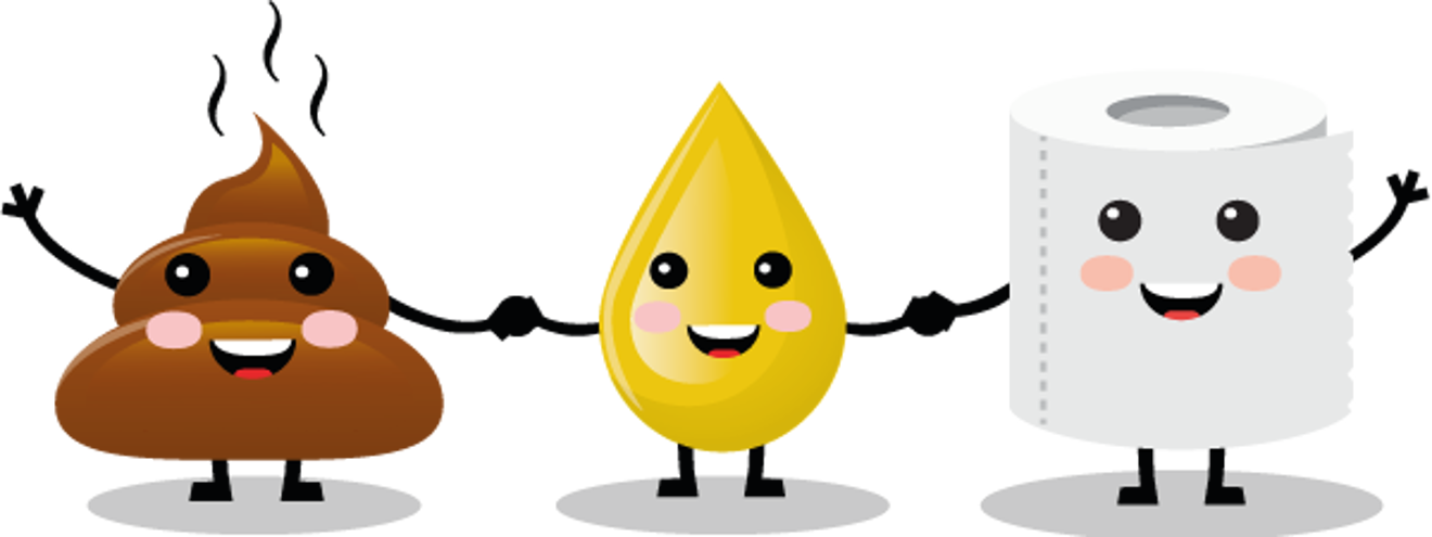 Lort, pis og papir - det er de eneste tre ting, du må skylle ud i toilettet